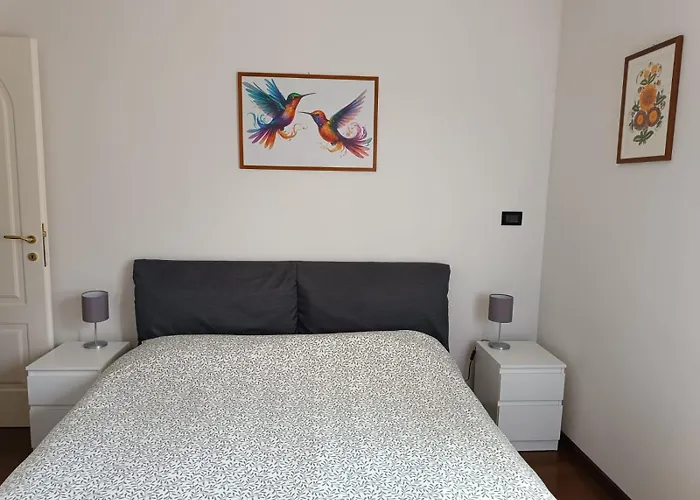 Apartman Il Piccolo Colibri Vidiciatico